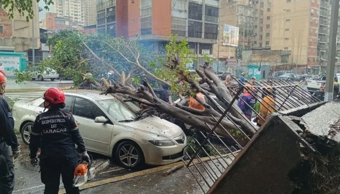 Lluvias causaron caída de árbol que dañó dos vehículos en Caracas