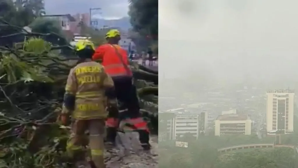 Lluvias en Medellín: bomberos atienden un árbol caído sobre una vía mientras la lluvia cubre la ciudad este lunes