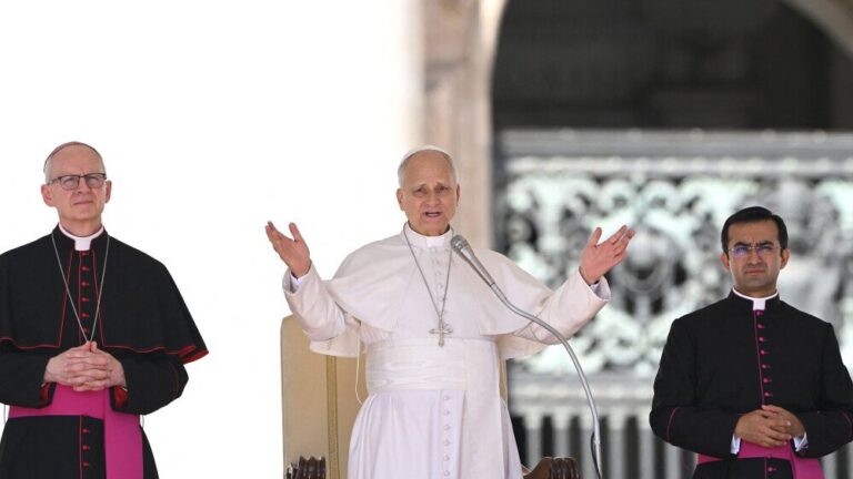 papa León XIV durante una audiencia general en el Vaticano