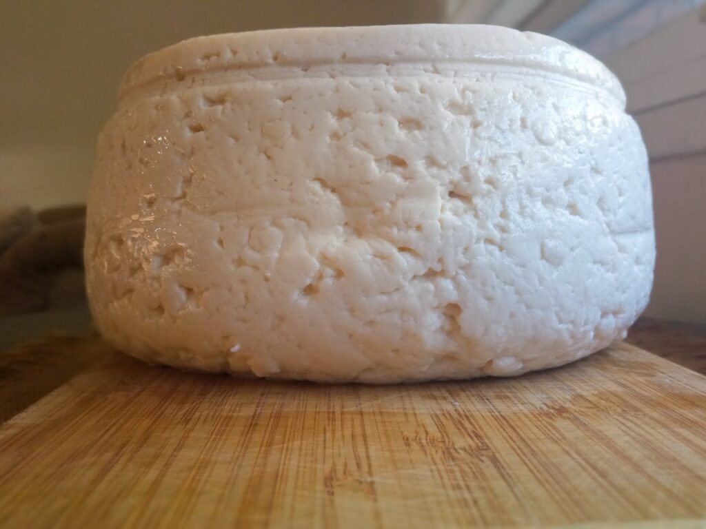 Precio del queso: rueda de queso llanero blanco venezolano sobre una tabla