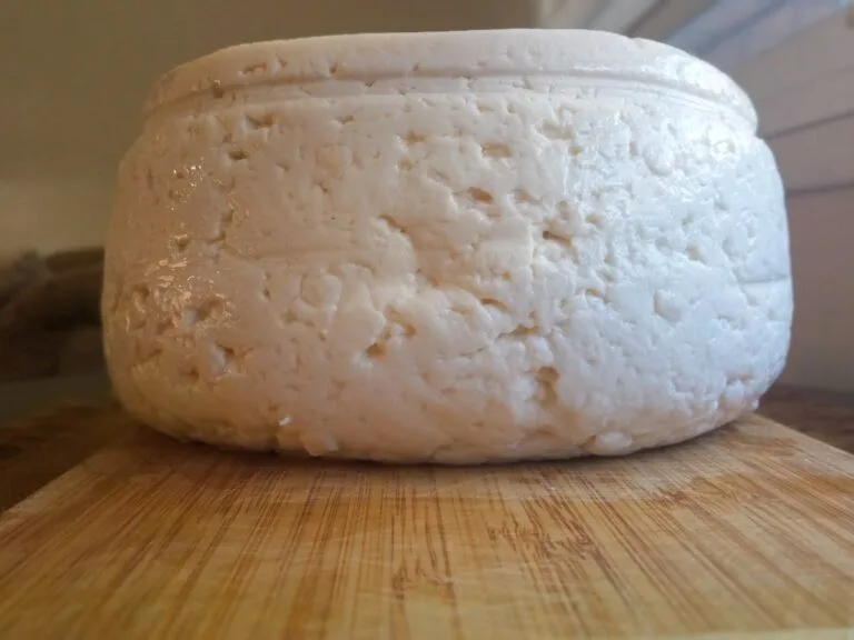Precio del queso: rueda de queso llanero blanco venezolano sobre una tabla