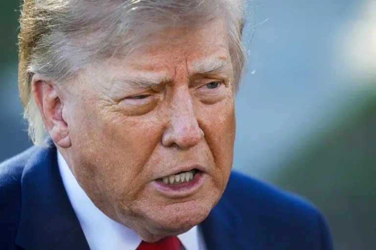 Donald Trump: su Gobierno pide reactivar el muro fronterizo en el parque Big Bend de Texas