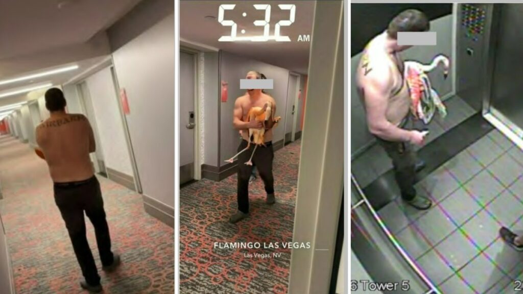 Mitchell Fairbarn cargando al flamenco Peachy por los pasillos del Flamingo Las Vegas, captado por las cámaras de seguridad del hotel